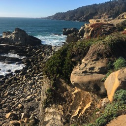 Crystal Van visits the Northern California Coastline